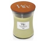 Woodwick Fern - Papradina vonná sviečka s dreveným knôtom a viečkom sklo veľká 609,5 g