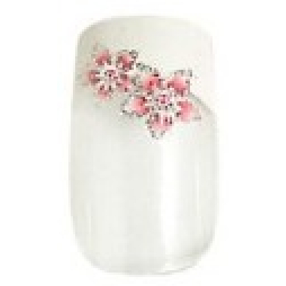 Diva & Nice Natureasy Nails Decorated nalepovacie nechty číre s bielo-ružovou aplikácií 24 kusov + lepidlo 2 g