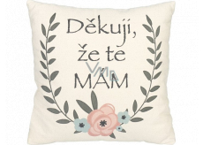 Albi Humor vankúš veľký Ďakujem, že ma máš 36 x 30 cm