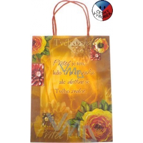 Nekupto Darčeková Kraftová taška 29 x 22 x 8 cm Priateľ podá ruku 1 kus 028
