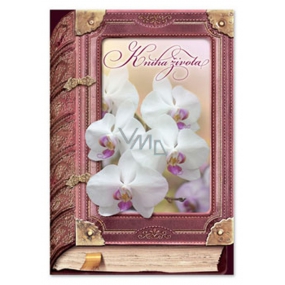 Ditipo Hracie prianie k svadbe Kniha života Biela orchidea Eva a Vašek 224 x 157 mm