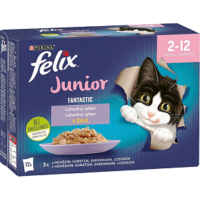 Felix Fantastic Junior kapsičky pre mačky výber v želé, 12× 85 g