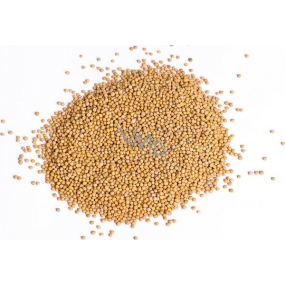 Horčica Biela 500 g