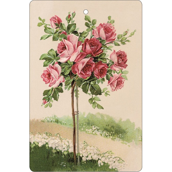 Bohemia Gifts Aromatická vonná karta Ruže 10,5 x 16 cm