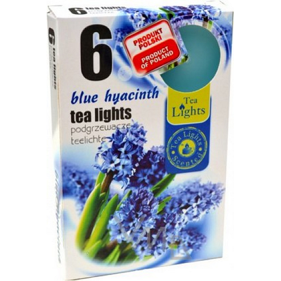 Čajové sviečky Modrý hyacint s vôňou čajových sviečok 6 kusov