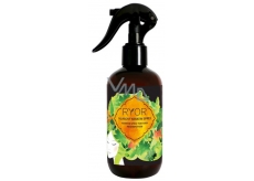Ryor Hair Care vlasový keratín sprej 250 ml