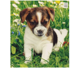 Plastové vrecko 45 x 50 cm Puppy 1 kus