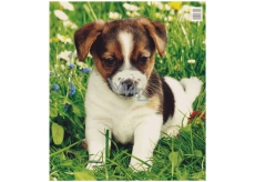 Plastové vrecko 45 x 50 cm Puppy 1 kus