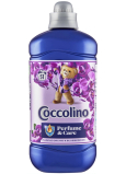 Coccolino Creations Purple Orchid & Blueberry koncentrovaný zmäkčovač 51 dávok 1,275 l