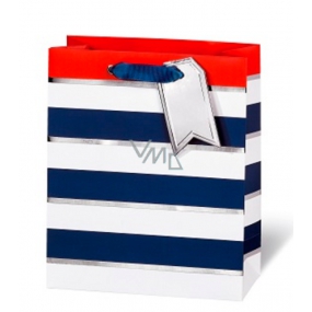 BSB Luxusná darčeková papierová taška 23 x 19 x 9 cm Modro-biele prúžky LDT 392 - A5