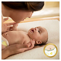 Pampers Premium Care 2 Mini 3-6 kg jednorazové plienky 80 kusov