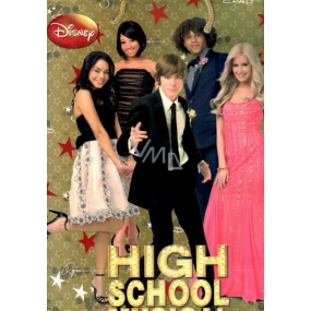 Ditipo Darčeková papierová taška 26,4 x 12 x 32,4 cm Disney High School Musical