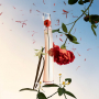 Kenzo Flower by Kenzo L'Absolue parfumovaná voda pre ženy 30 ml