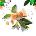 Herbal Essences Volume White Grapefruit & Mosa Šampón s grapefruitom a mätou, pre väčší objem vlasov, bez parabénov 400 ml