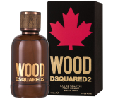 Dsquared2 Wood pour Homme toaletná voda pre mužov 100 ml