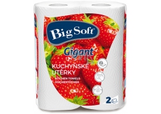 Big Soft Gigant papierové utierky 80 utierok 2 kusy