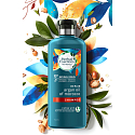 Herbal Essences Repair Argan Oil Šampón s arganovým olejom, pomáha obnoviť hladkosť vlasov, bez parabénov 400 ml