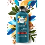 Herbal Essences Repair Argan Oil Šampón s arganovým olejom, pomáha obnoviť hladkosť vlasov, bez parabénov 400 ml