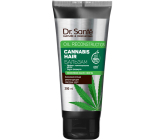 Dr. Santé Cannabis kondicionér pre slabé a poškodené vlasy s konopným olejom 200 ml