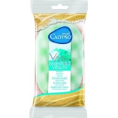 Calypso Passion Essentials Vitality kúpeľová huba rôzne farby 1 kus