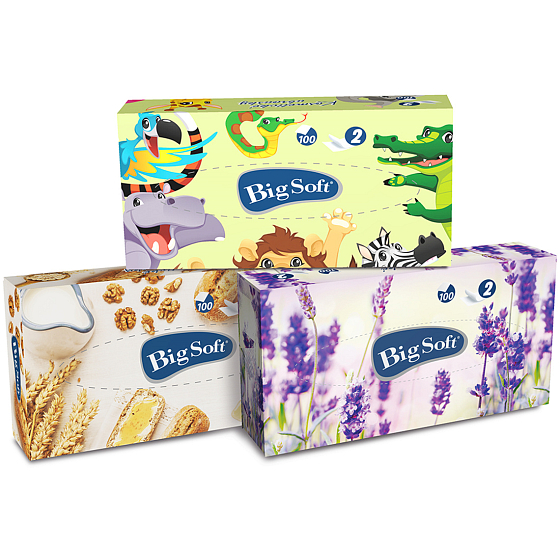 Big Soft Deluxe kozmetické papierové obrúsky 2 vrstvové v krabičke 100 kusov
