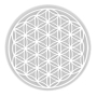Masaru Emoto Cadus džbán Kvet života s bielym symbolom 1 l