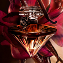 Lancome La Nuit Tresor Vanille Noire parfumovaná voda pre ženy 50 ml