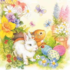 Aha Papierové obrúsky 3 vrstvové 33 x 33 cm 20 kusov Veľkonočné dva zajačiky, motýle, vajíčka, kytičky