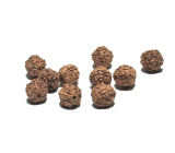 Rudraksha prírodný korálik 7 mm, 10 kusov