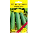 Holman F1 Viktorie uhorky šalátové 1,5 g