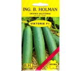 Holman F1 Viktória uhorky šalátové 1,5 g