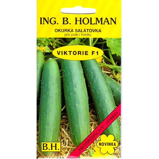 Holman F1 Viktorie uhorky šalátové 1 g