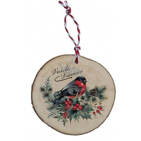 Bohemia Gifts Ručne vyrábaná vianočná ozdoba drevená Ptáček 6 cm