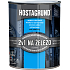 Hostagrund 2v1 S2160 základná i vrchná farba na kov, 0100 biela, 600 ml