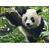 Prime3D magnet - Panda 9 x 7 cm