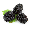Vidal Berries & Musk tekuté mydlo na ruky 300 ml