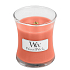 Woodwick Tamarind & Stonefruit - Tamarind a kôstkovice vonná sviečka s dreveným knôtom a viečkom sklo malá 85 g