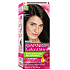 Garnier Color & Shine farba na vlasy 2.0 čierna