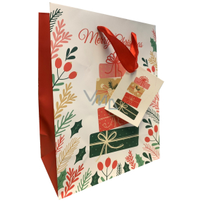 Ditipo Darčeková papierová taška 22,5 x 17,5 x 10 cm Vianočné darčeky