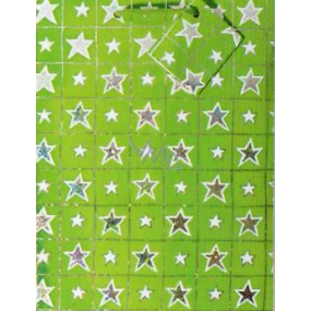 Nekupto Darčeková papierová taška hologram 23 x 18 x 10 cm Vianočné, zelená, 016 50 GM