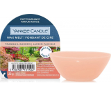 Yankee Candle Tranquil Garden - vonný vosk na aromaterapiu 22 g