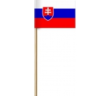 Arch Papierová vlajka Slovenskej republiky na paličke 42 cm 1 kus