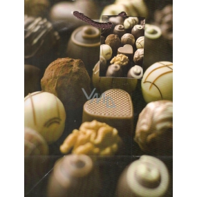 Nekupto Darčeková papierová taška 23 x 18 x 10 cm Čokoládové bonbóny 1 kus 642 01
