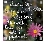 Albi Magnet Vždy som hovoril, že si úplne úžasný človek. Dnes ste to dostali písomne! 6,5 x 6,5 cm