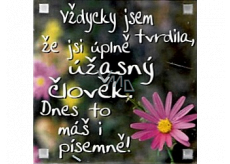 Albi Magnet Vždy som hovoril, že si úplne úžasný človek. Dnes ste to dostali písomne! 6,5 x 6,5 cm