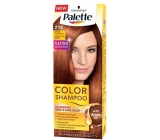 Palette Color tónovacie farba na vlasy 218 Žiarivo jantárový