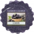 Yankee Candle Cassis - Čierne ríbezle vonný vosk do aromalampy 22 g
