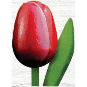 Bohemia Gifts Drevený tulipán červeno-biely 20 cm