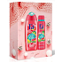 Fa Fiji Dream sprchový gél 250 ml + dezodorant sprej 150 ml, kozmetická sada