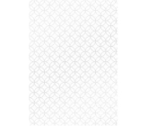 Ditipo Darčekový baliaci papier 70 x 100 cm Biele strieborné ornamenty 2 hárky